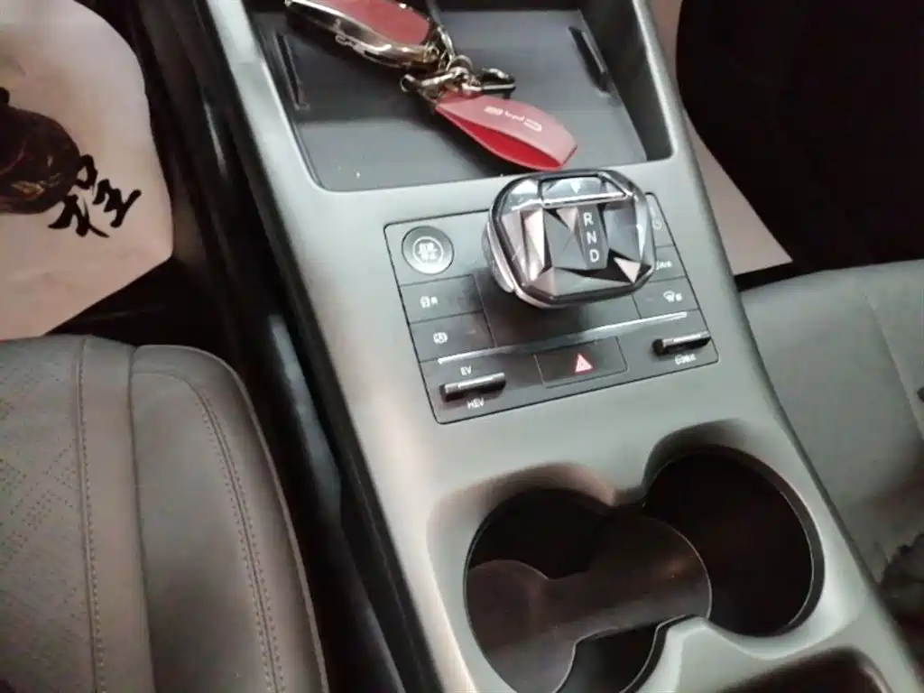 BYD Qin PLUS 2025 DM-i Smart Drive 55KM Leader фото 14