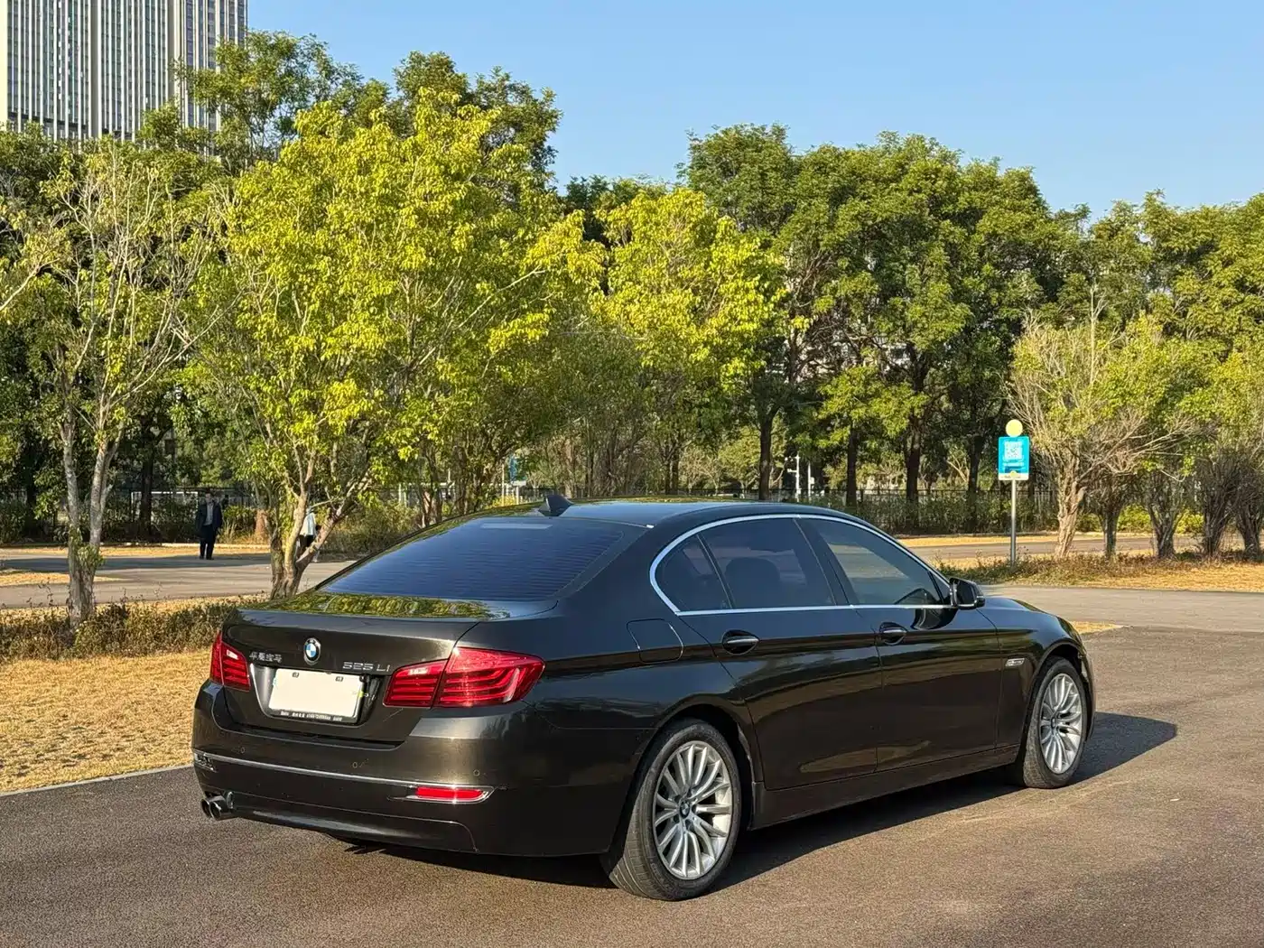 BMW 5 Series 2017 525Li Luxury Design Package фото 7