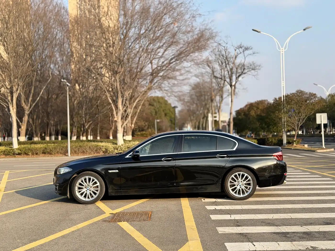 BMW 5 Series 2014 525Li Luxury Design Package фото 2