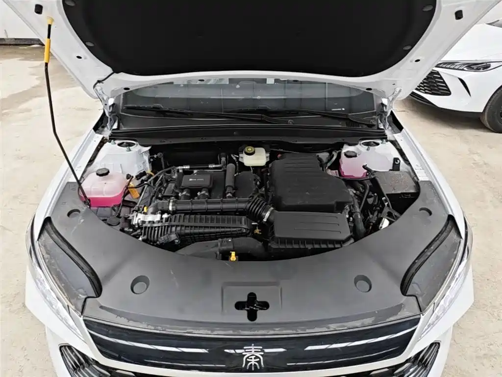BYD Qin PLUS 2026 DM-i Smart Edition 128KM Progressive фото 20