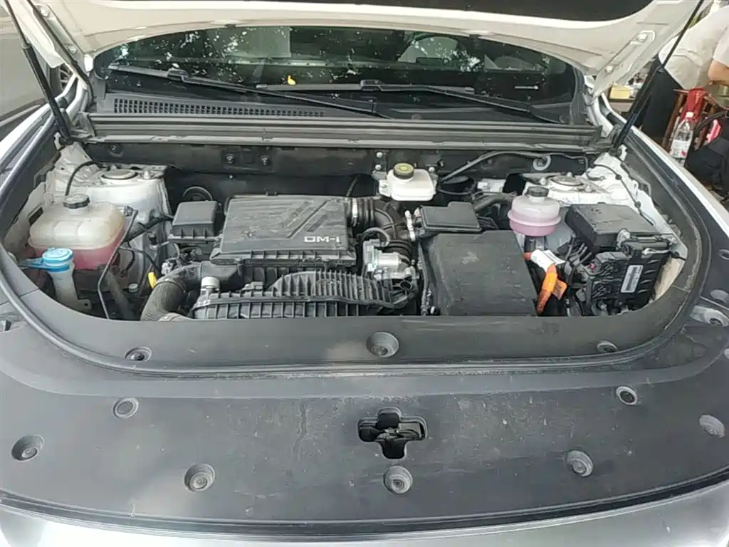 BYD Song Pro New Energy 2023 Champion Edition DM-i 110KM Excellence фото 20