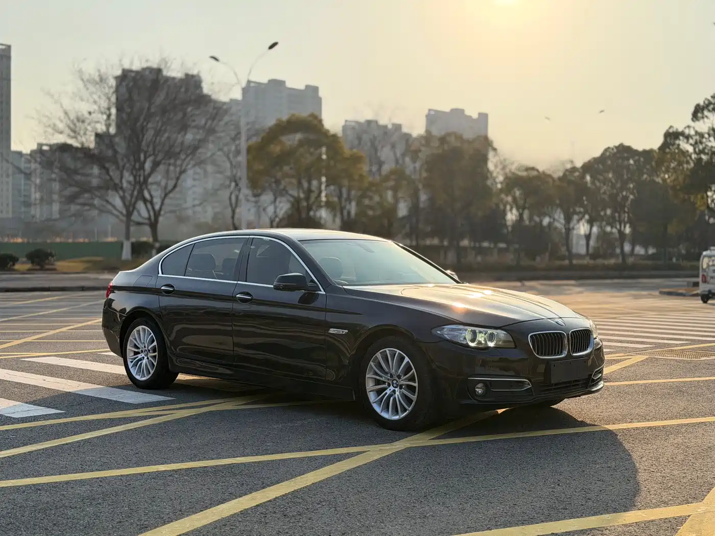 BMW 5 Series 2014 525Li Luxury Design Package фото 4