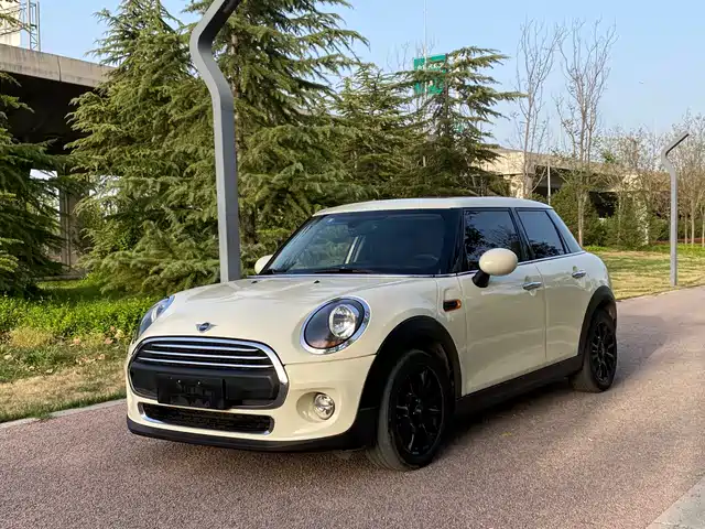 MINI 