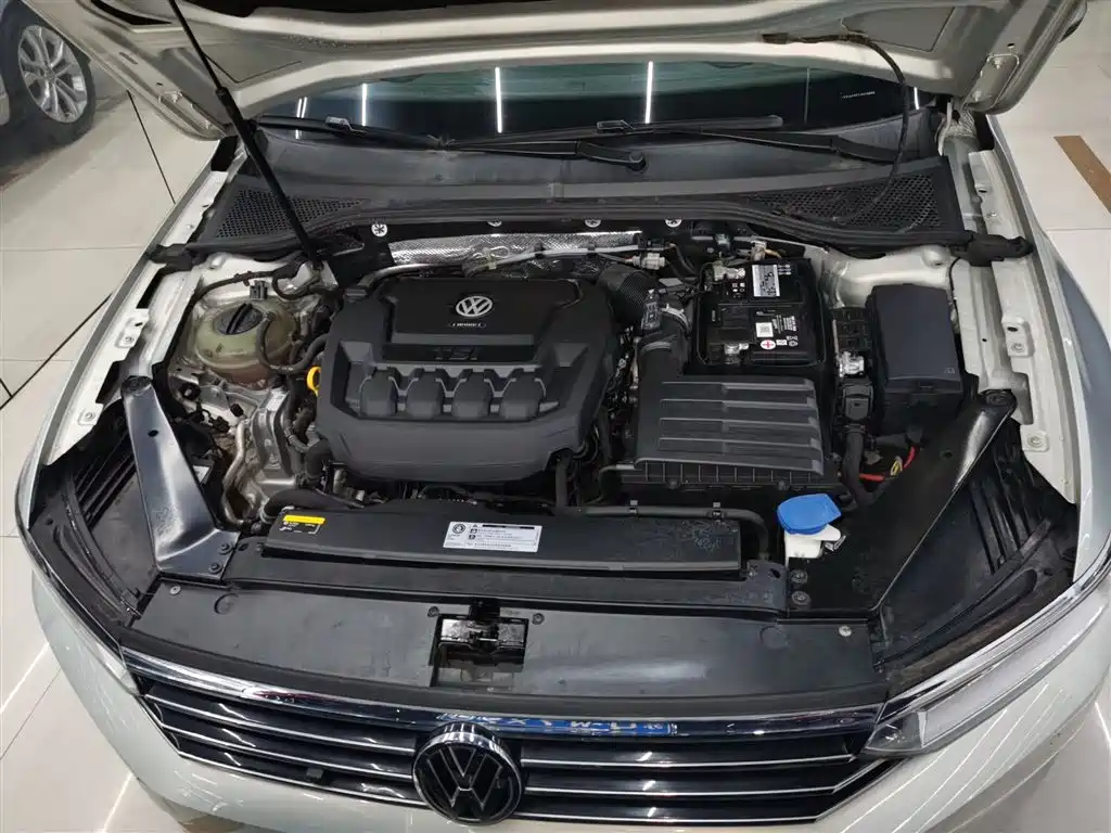 Volkswagen Magotan 2019 330TSI DSG Luxury China V фото 20