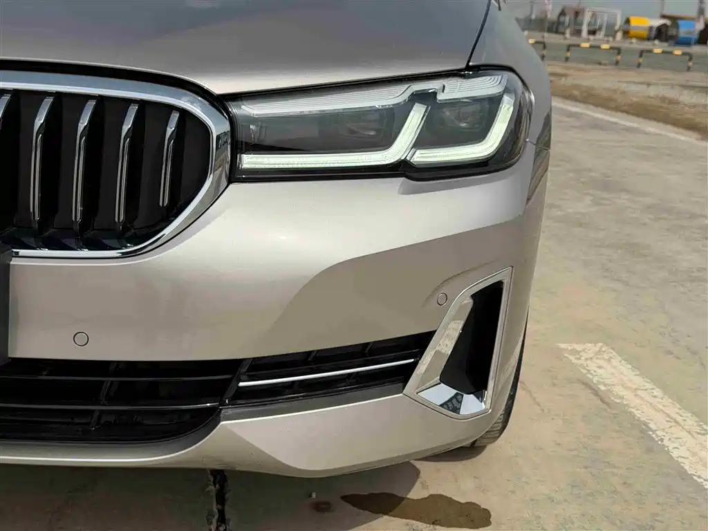 BMW 5 Series 2022 530Li Leading Luxury Package фото 13