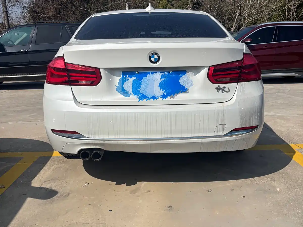 BMW 3 Series 2017 320Li Fashion фото 9