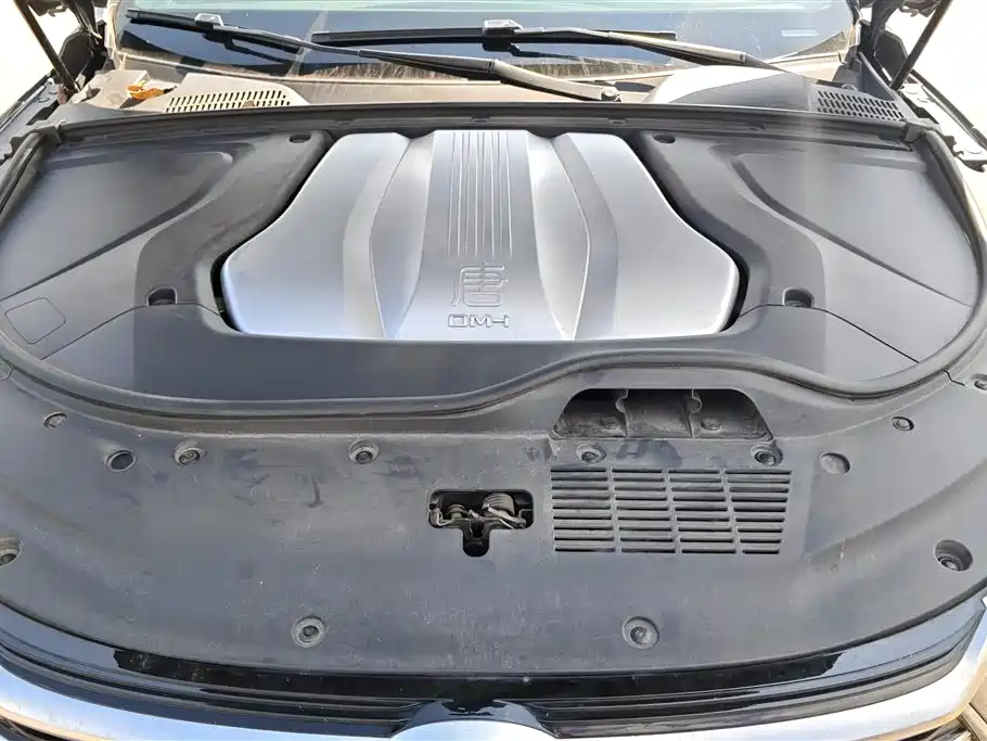 BYD Tang New Energy 2021 DM-i 112KM Honor фото 10