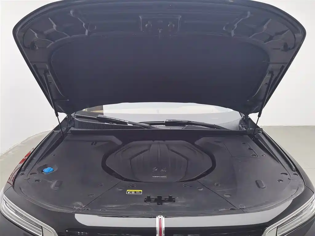 Hongqi H9 2020 2.0T Smart Connection Qi Chang Edition фото 6