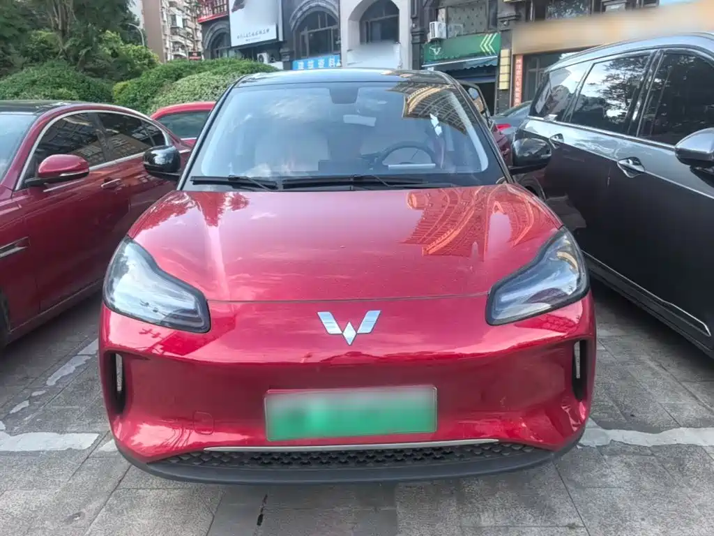Wuling Motors Wuling Binguo PLUS 2025 2024 401km Range 5-seater