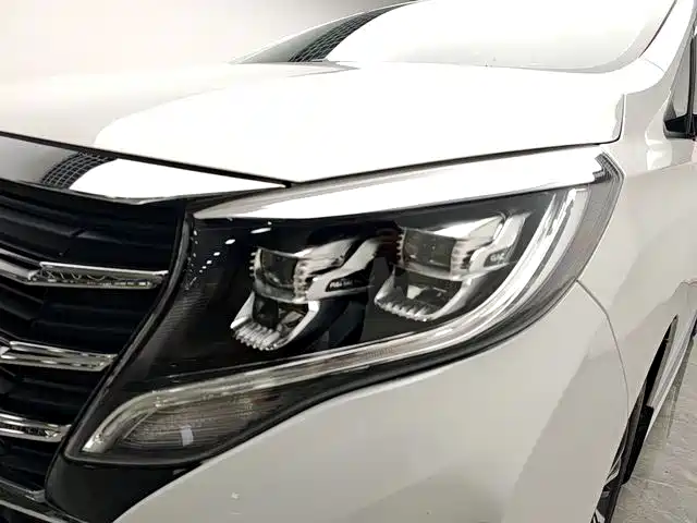 GAC Trumpchi Trumpchi M8 2024 Leadershow Series 390T Luxury Edition фото 9