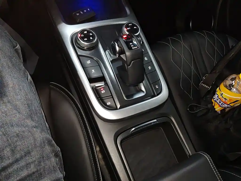 Tank 300 2021 Off-road Edition 2.0T Challenger фото 14