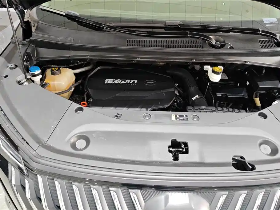 GAC Trumpchi Trumpchi M8 2024 Master Series 400T Premium Edition фото 10