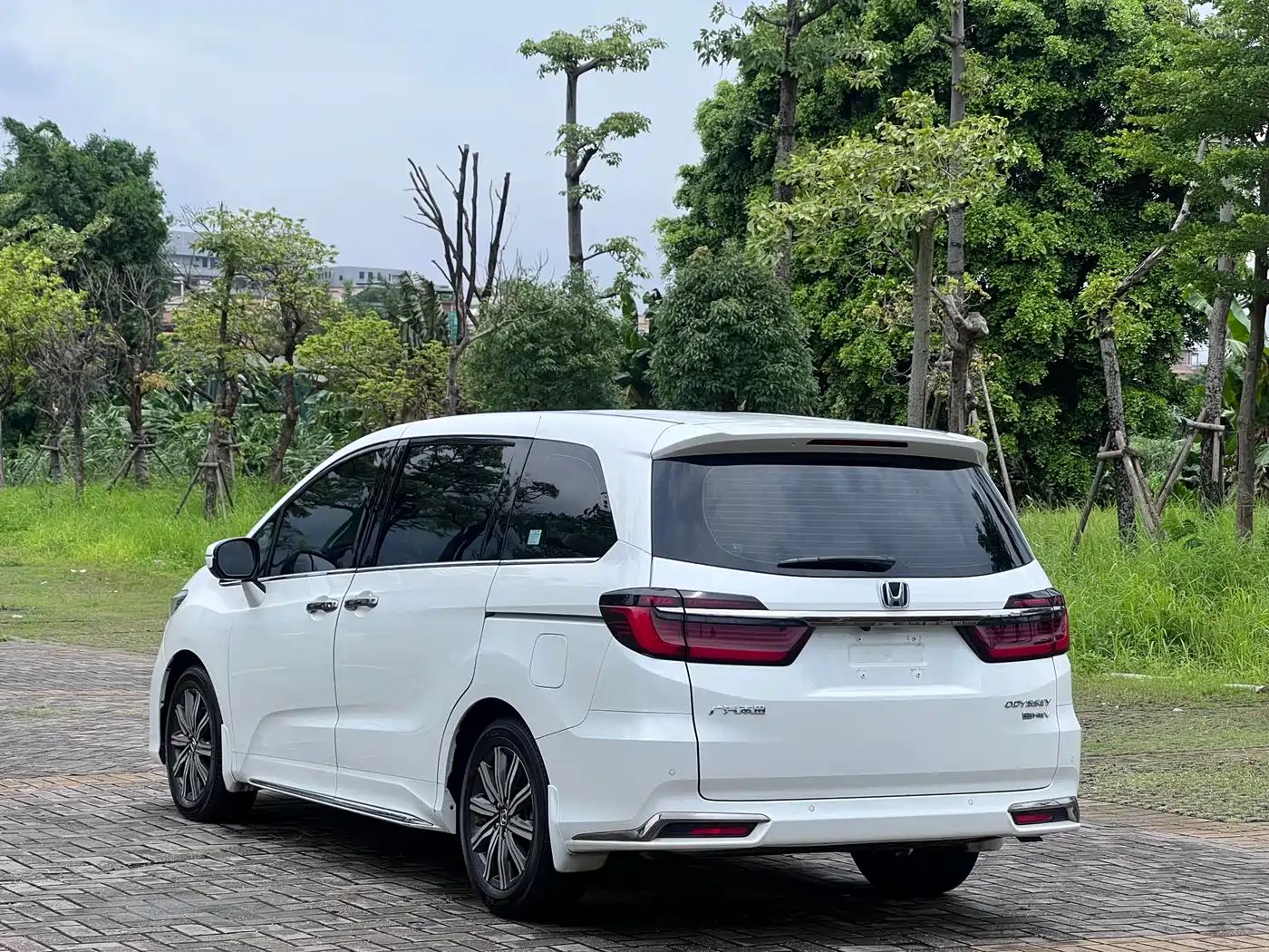 HONDA ODYSSEY