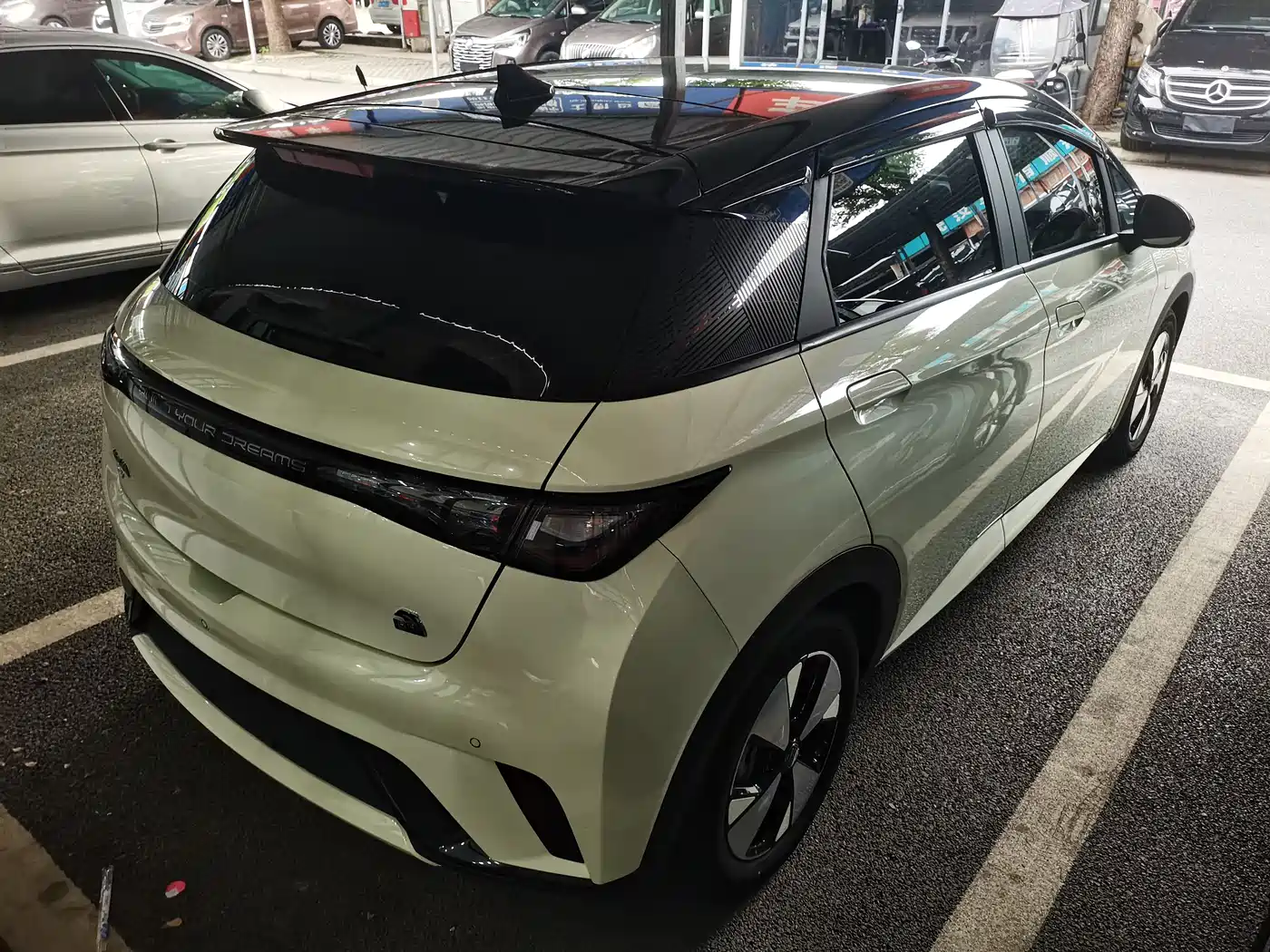 BYD Dolphin 2023 420km Fashion Edition фото 8