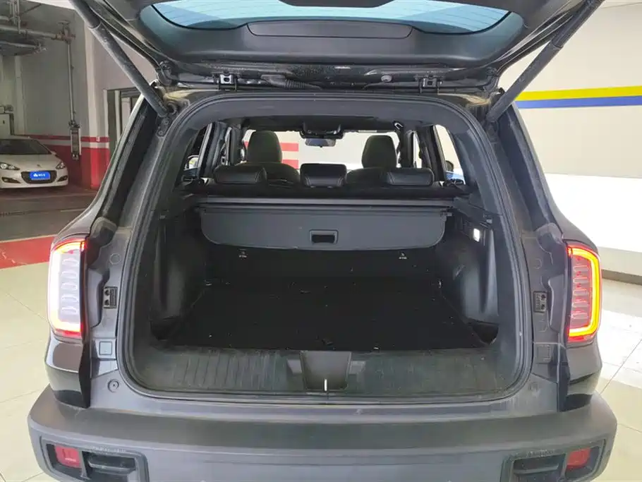 Haval Big Dog 2022 1.5T DCT FWD Border Collie Edition фото 4