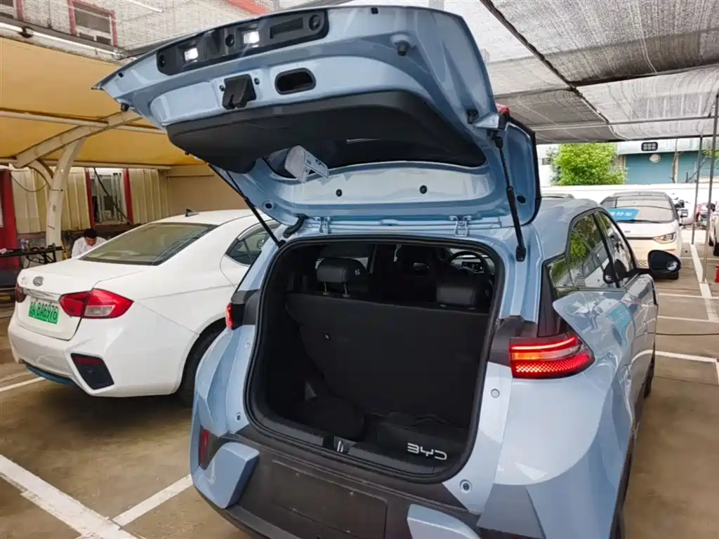 BYD Seagull 2025 Smart Drive Edition 305km Vitality Version фото 19