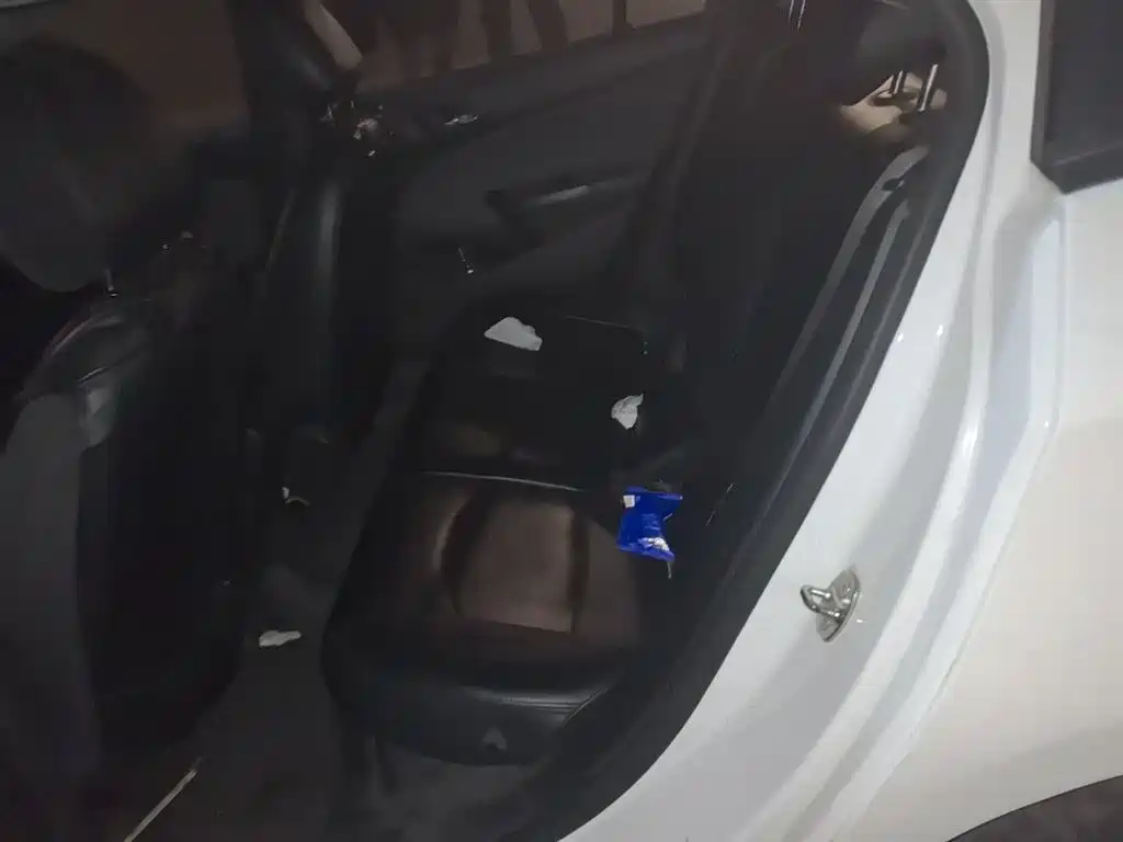 Chevrolet Cruze 2017 1.5L Automatic Pioneer Sunroof фото 15