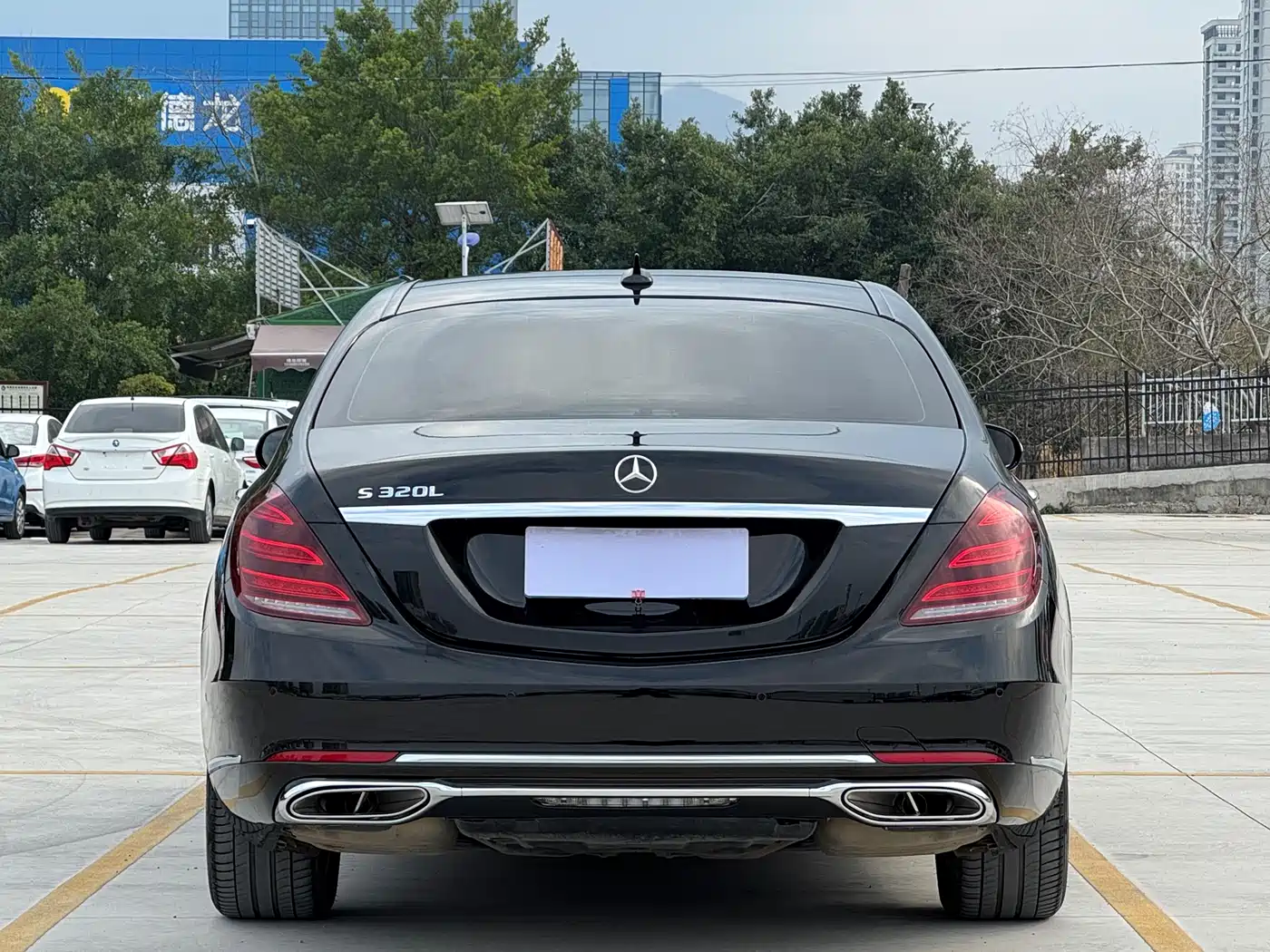Mercedes-Benz S-Class 2016 S 320 L Luxury фото 5