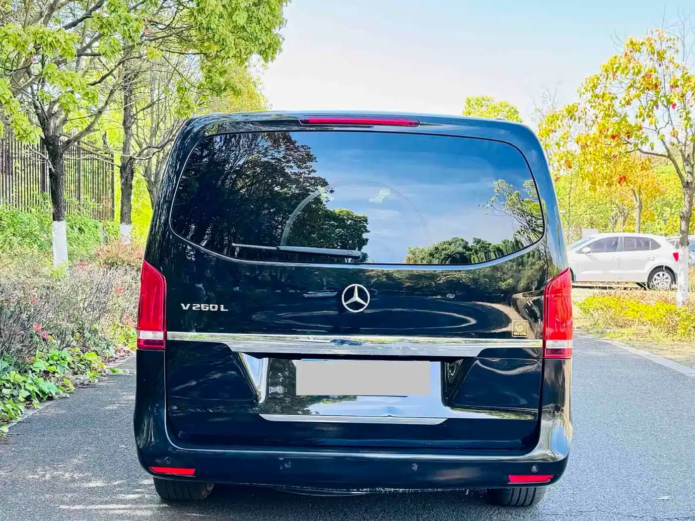 Mercedes-Benz V-Class 2017 Model V 260 L Premium Extended Edition фото 6