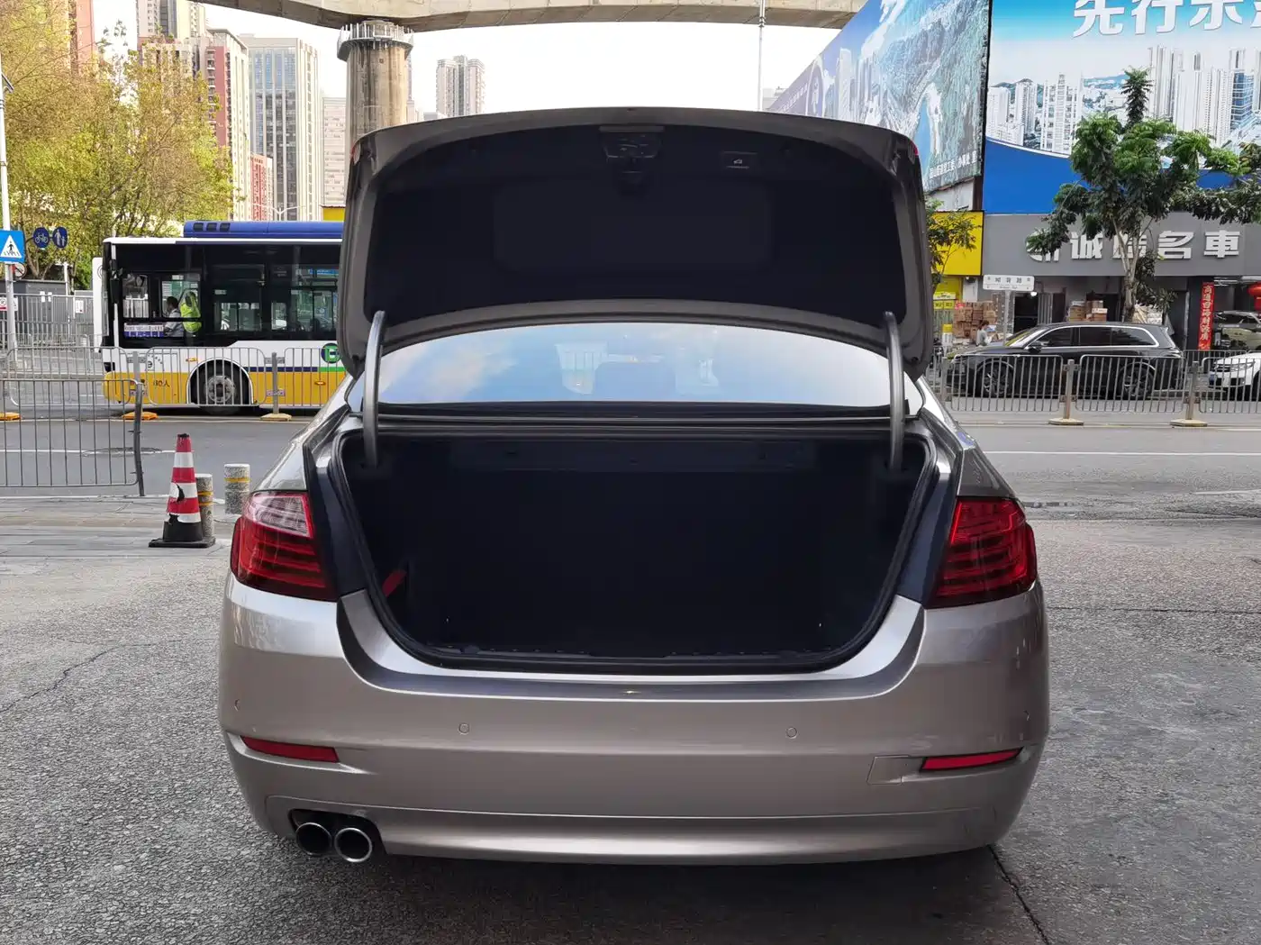 BMW 5 Series 2014 528Li Luxury Design Package фото 7