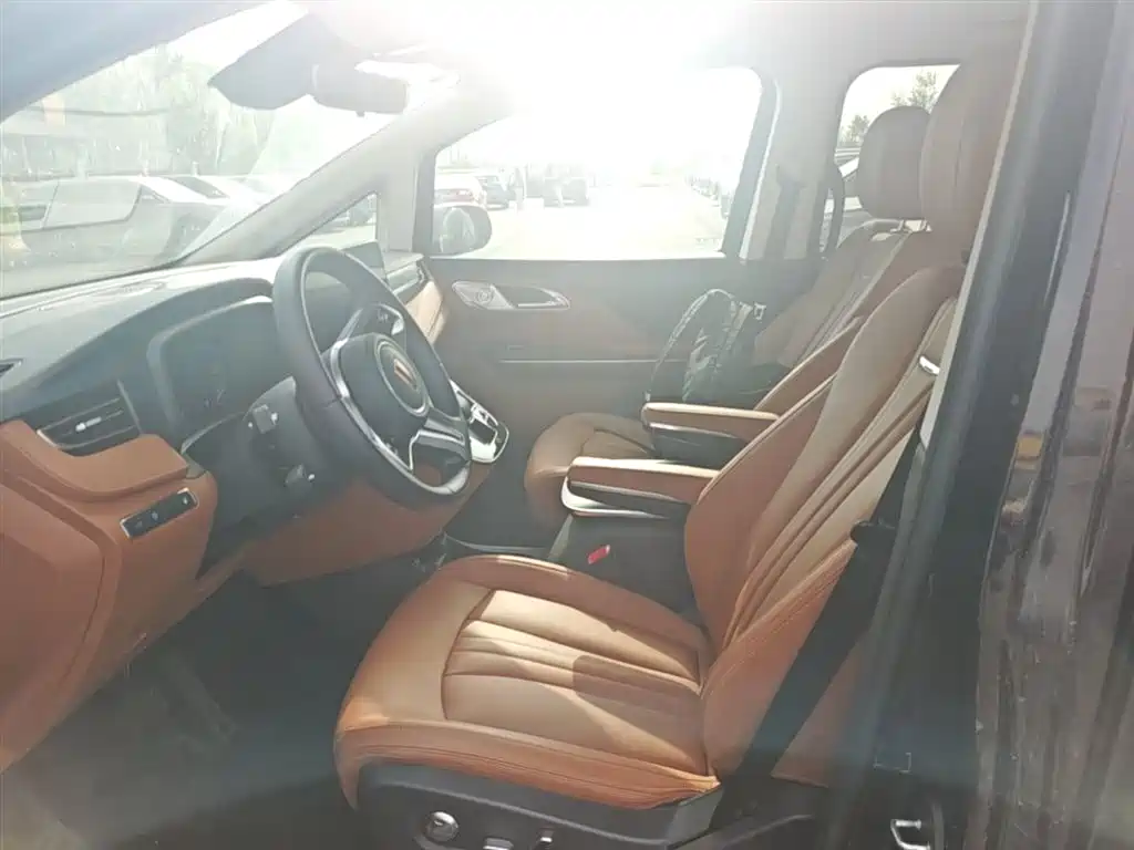 Hongqi HQ9 PHEV 2024 Model 2.0T AWD Business Edition фото 15