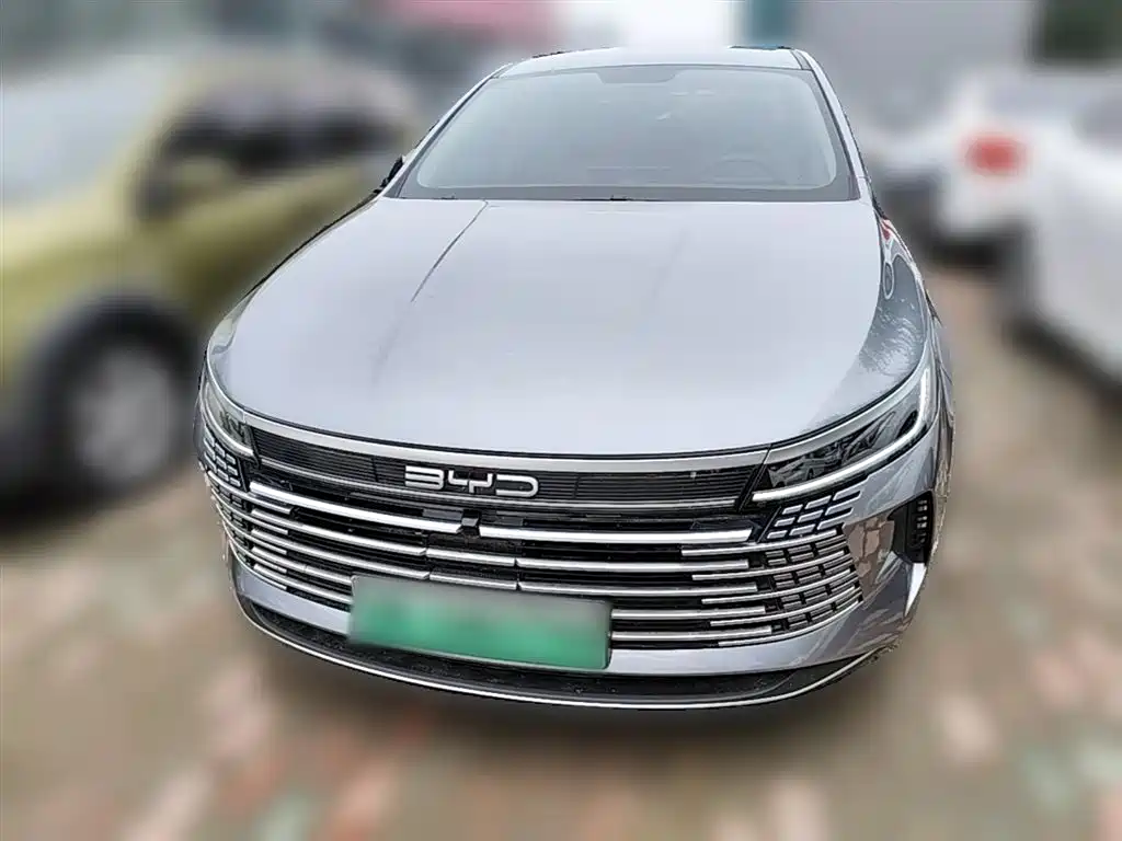 BYD Destroyer 05 2024 Glory Edition DM-i 55KM Luxury фото 5