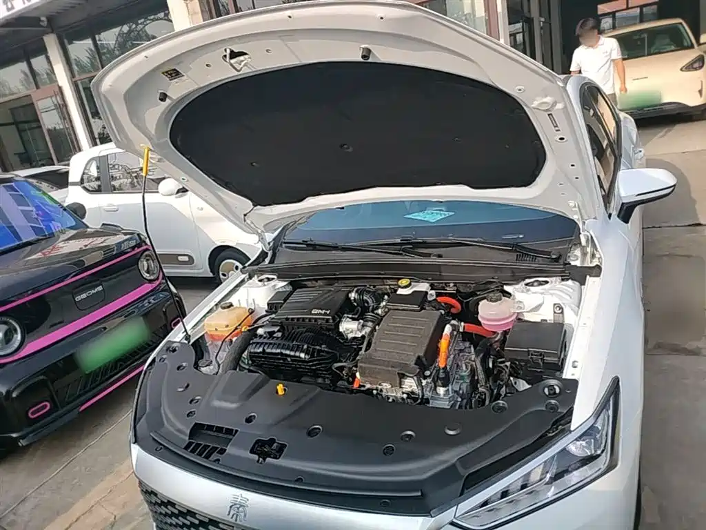 BYD Qin PLUS 2024 Glory Edition DM-i 55KM Leading фото 20