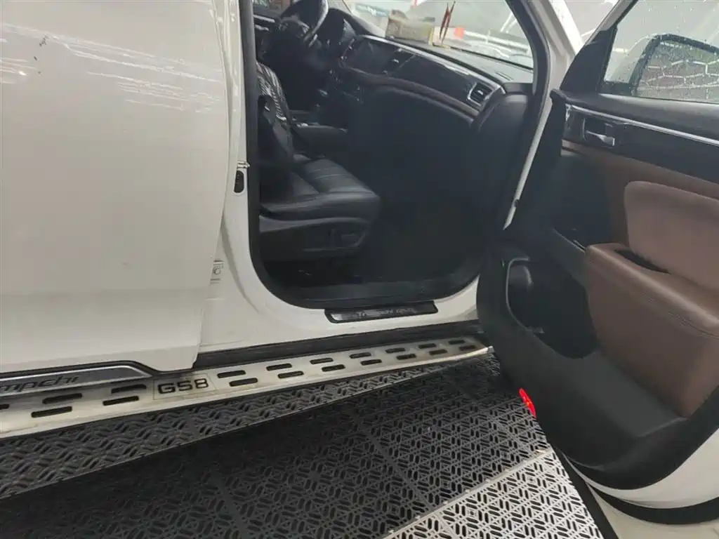 GAC Trumpchi Trumpchi GS8 2017 320T 2WD Luxury Smart Connect (7-seater) фото 20