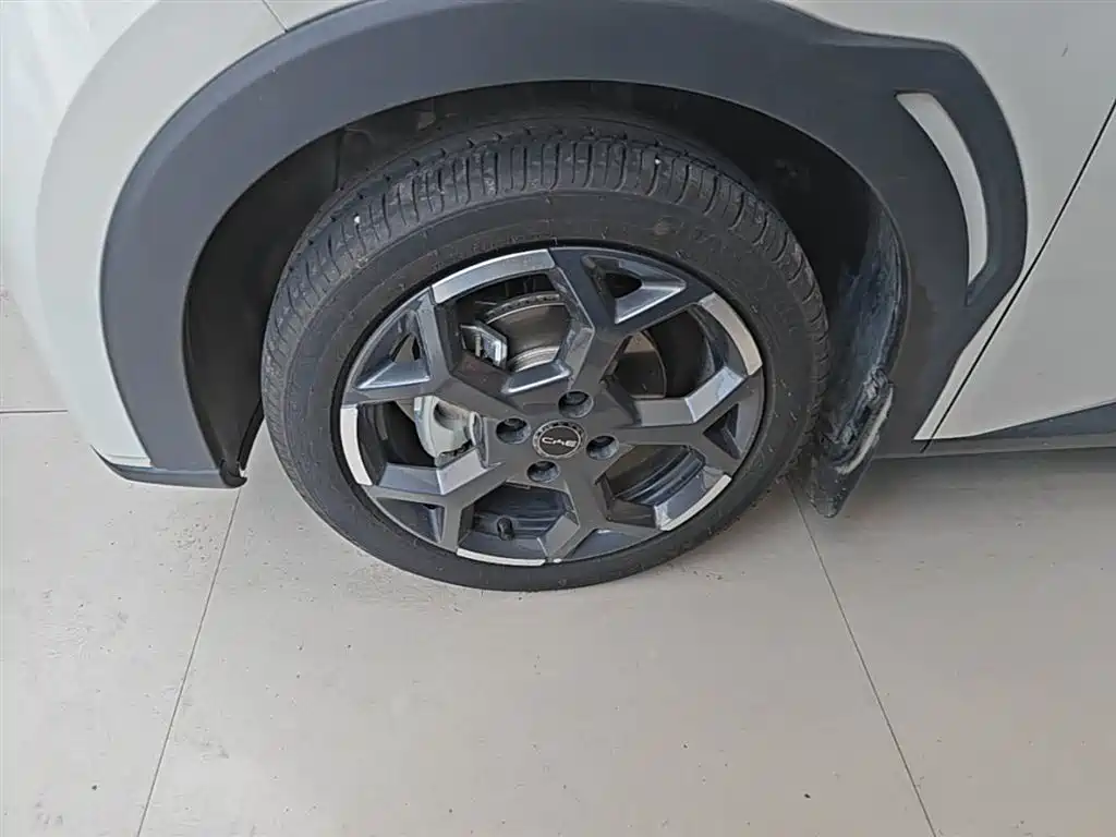 BYD Seagull 2024 Glory Edition 405km Soaring Edition фото 23