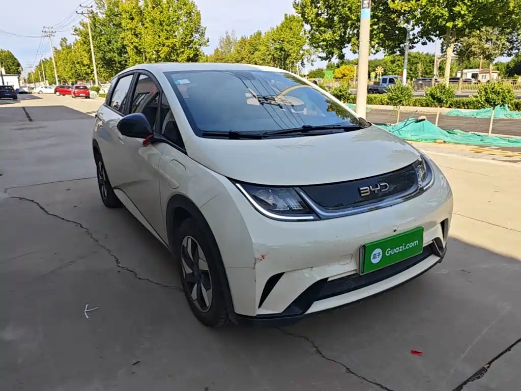 BYD Dolphin 2026 2025 420km Freedom Edition