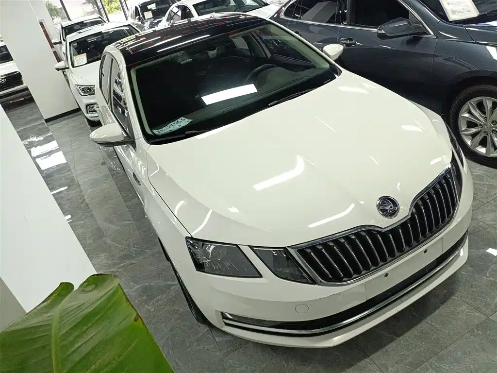 Škoda Octavia 2019 TSI230 DSG Smart Luxury Edition China V фото 4