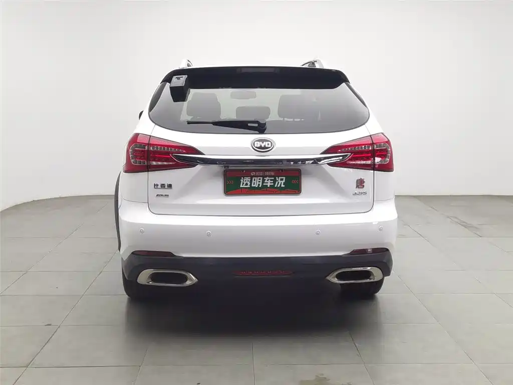 BYD Tang New Energy 2015 2.0T AWD Premium фото 4