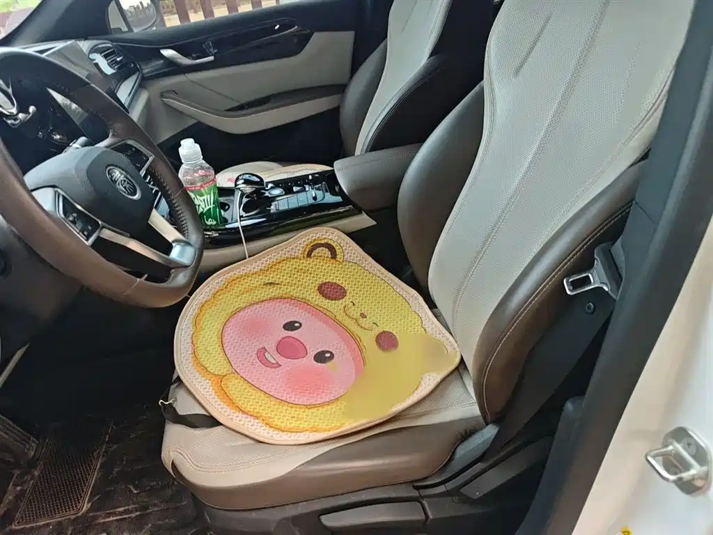 BYD Qin PLUS 2023 Champion Edition DM-i 55KM Leading фото 8