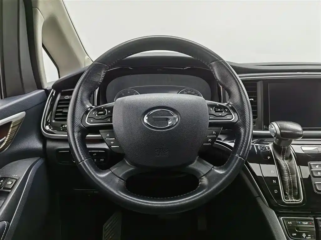 GAC Trumpchi Trumpchi M8 2020 Master Edition 390T Ultimate фото 11