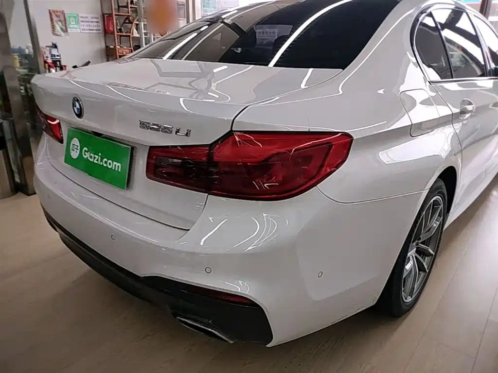 BMW 5 Series 2019 525Li M Sport Package фото 8