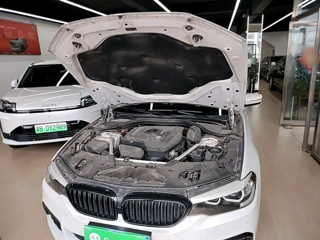 BMW 5 Series 2019 525Li M Sport Package фото 20