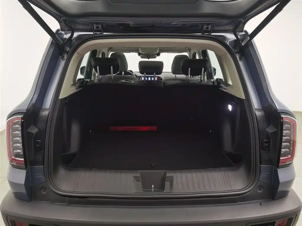 Haval Big Dog 2021 1.5T DCT 2WD Labrador Edition фото 16