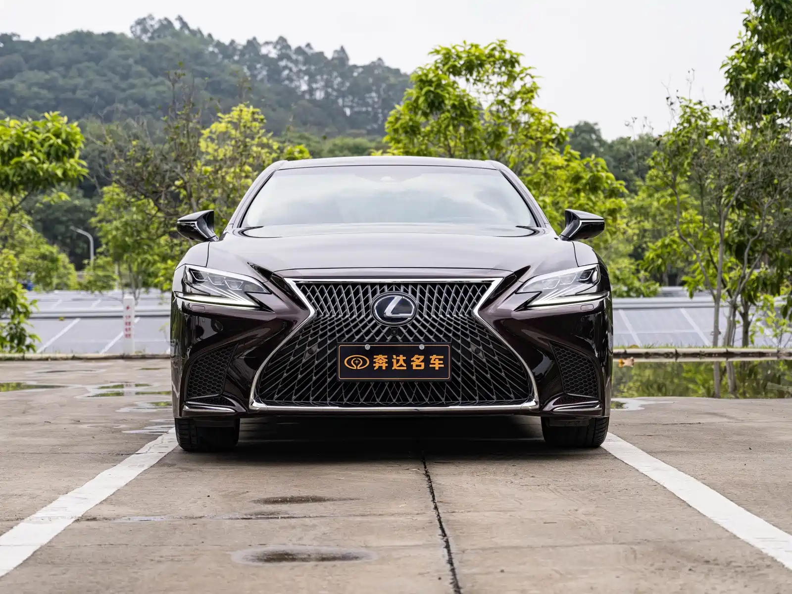 Фото 2 - Lexus LS