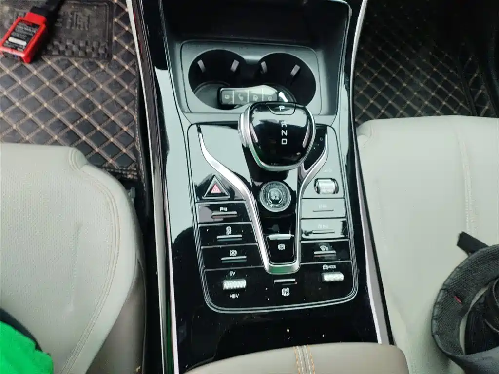 BYD Qin PLUS 2024 Glory Edition DM-i 55KM Leading фото 10