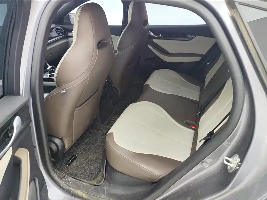 BYD Qin PLUS 2024 Glory Edition DM-i 55KM Leading фото 11