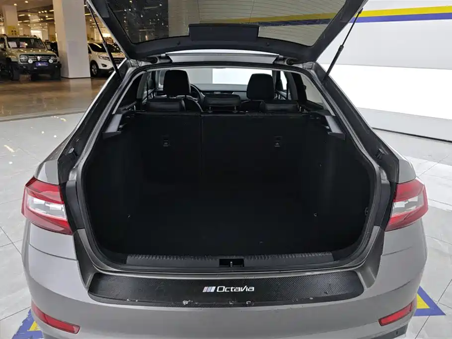 Škoda Octavia 2019 1.5L Automatic Smart Luxury China VI фото 4