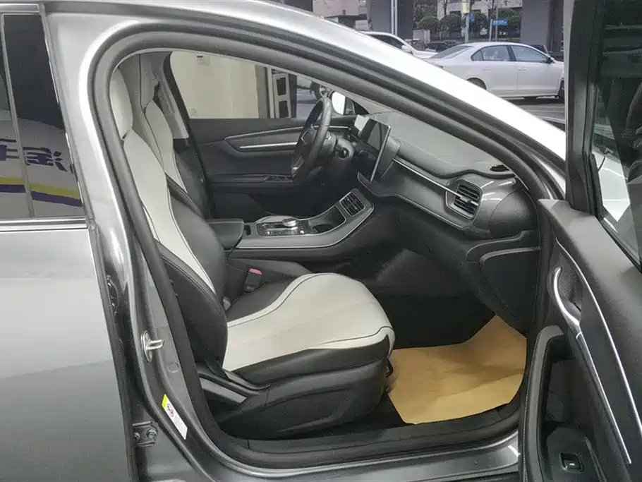 BYD Destroyer 05 2024 Glory Edition DM-i 55KM Luxury фото 8