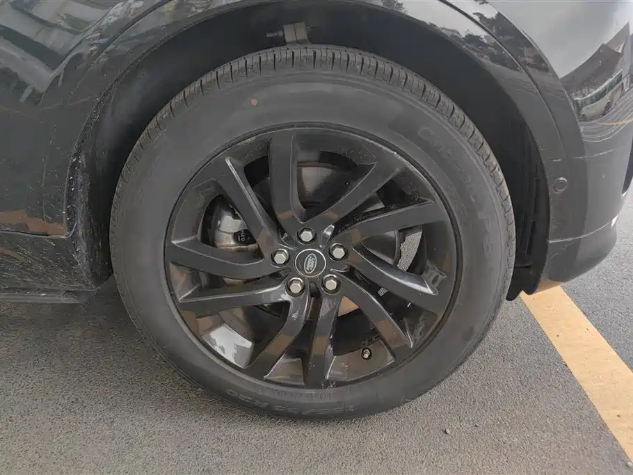 Land Rover Discovery 2020 2.0T 30th Anniversary Special Edition фото 6