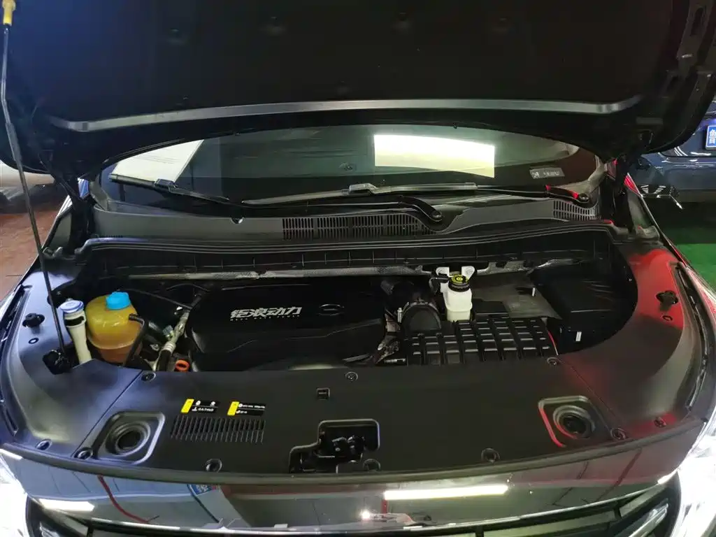 GAC Trumpchi Trumpchi M8 2021 Leading Show Series 390T Ultimate Edition фото 20