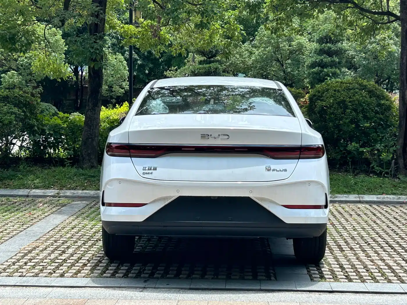 Фото 15 - BYD Qin PLUS