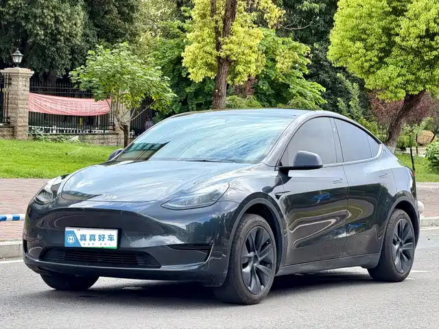 Tesla Model Y Задний привод