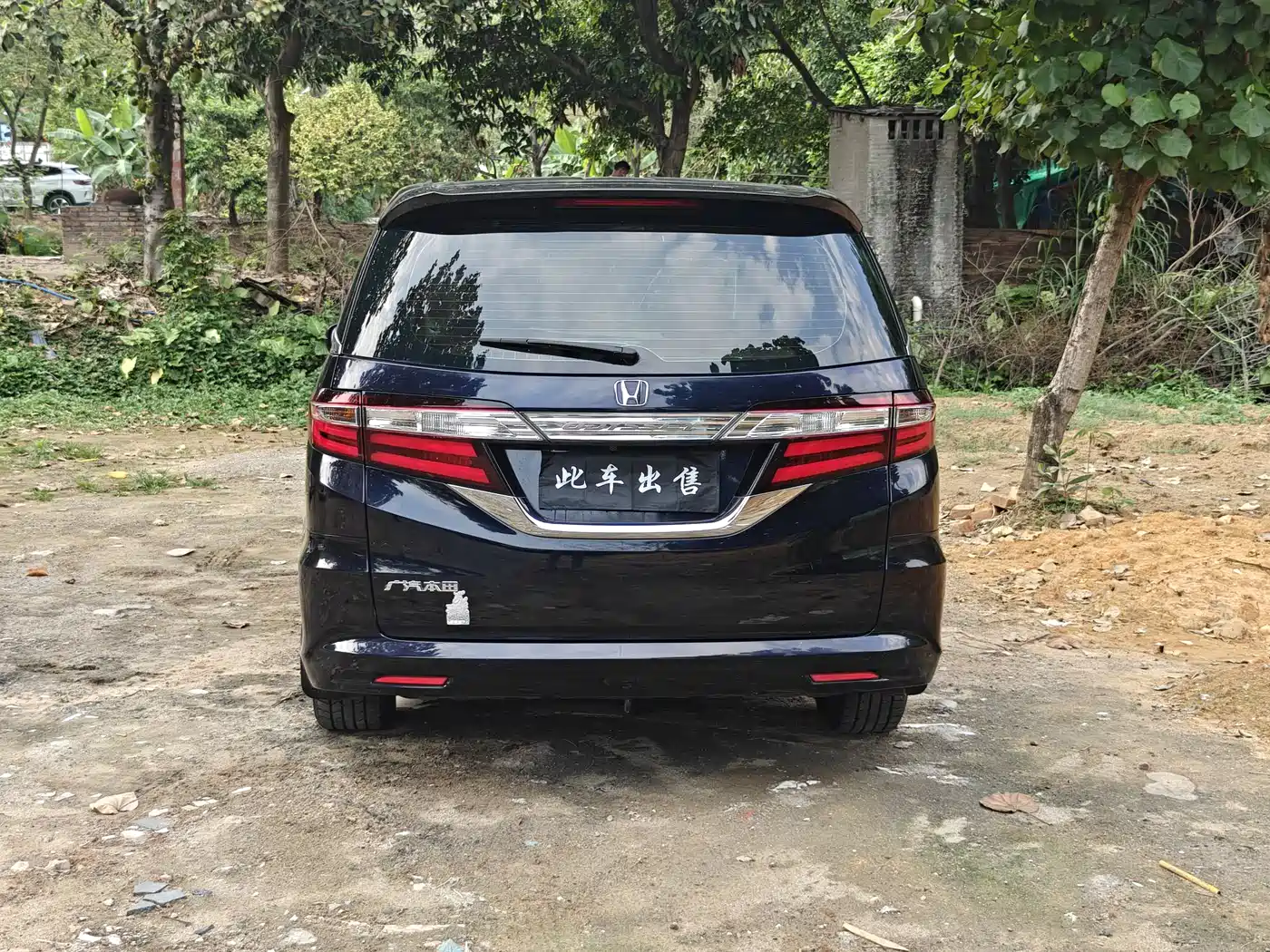 HONDA ODYSSEY