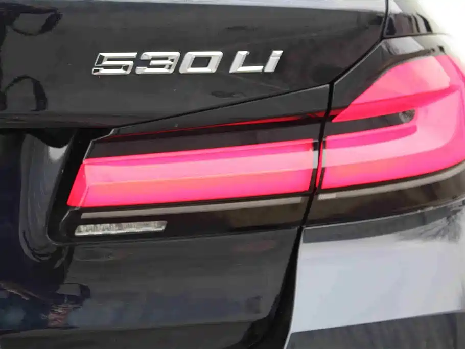 BMW 5 Series 2022 Model Second Facelift 530Li Leading M Sport Package фото 15