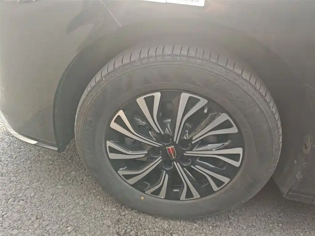 Hongqi HQ9 PHEV 2024 Model 2.0T AWD Business Edition фото 23