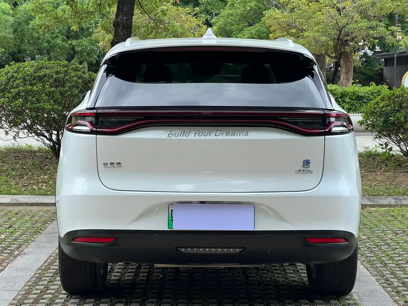 BYD Tang New Energy 2019 DM 2.0T AWD Intelligent Sharing Creation 7-seater China VI фото 18